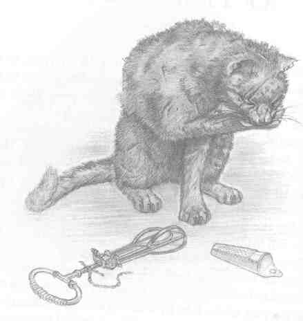 Nanny Ogg's Cookbook-80.jpg